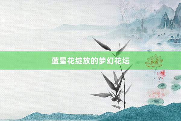 蓝星花绽放的梦幻花坛