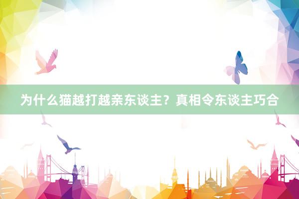 为什么猫越打越亲东谈主？真相令东谈主巧合