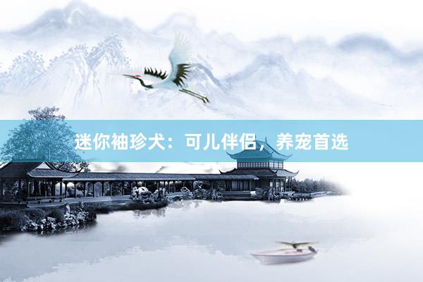 迷你袖珍犬：可儿伴侣，养宠首选