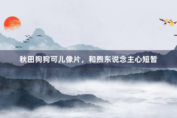 秋田狗狗可儿像片，和煦东说念主心短暂